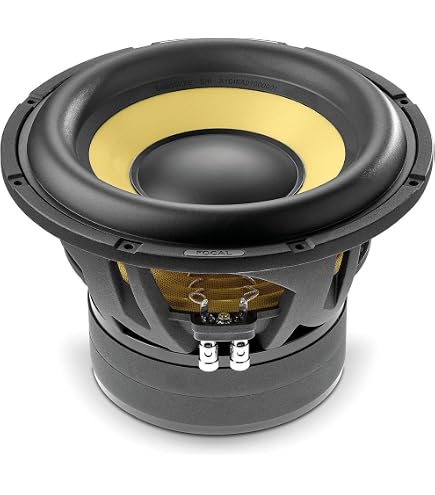 Amazon.com: Focal SUBP20F 8” Flax Cone subwoofer, RMS: 250W - MAX
